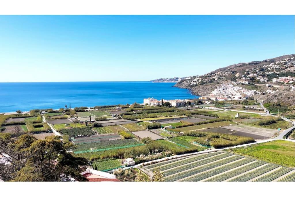 Encantadora Casa Andaluza サロブレーニャ エクステリア 写真